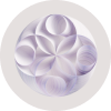 Watsonx.ai IBM